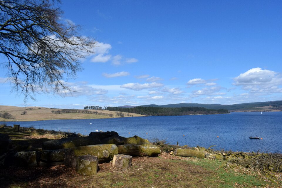 Forest nature northumberland