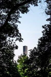 Nature park trees