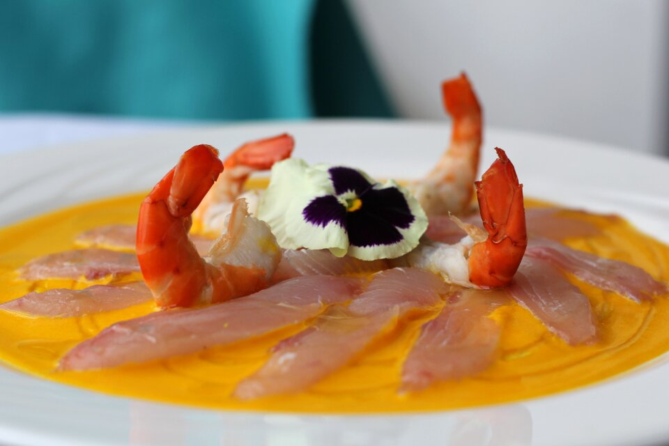 Ceviche gastronomy peru