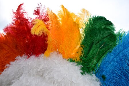Pride feathers headdress