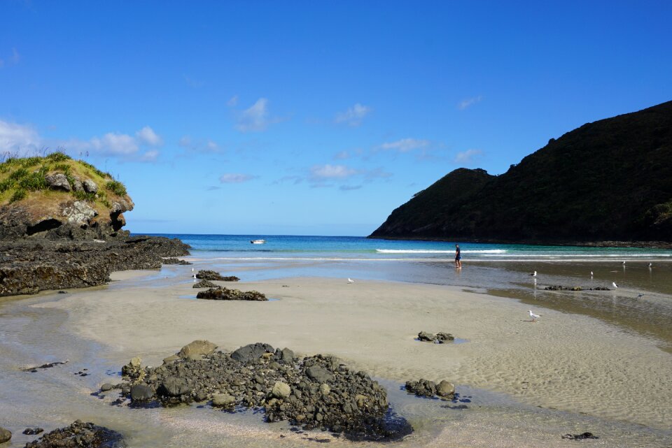 Spirits bay new zealand photo