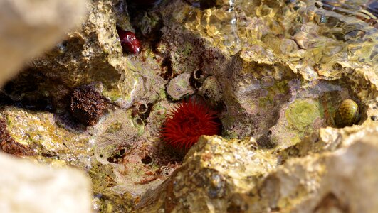 Adriatic sea underwater vacations
