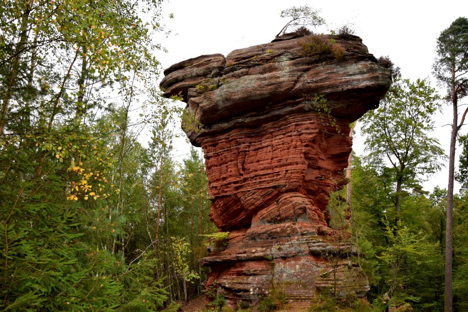 Landscape germany palatinate