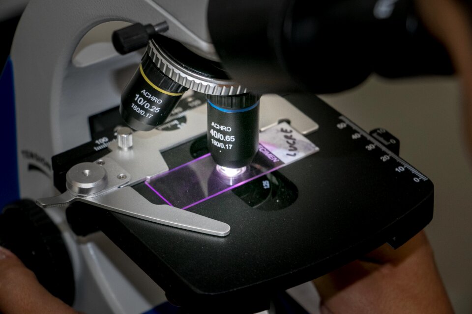 Microbiology team lab