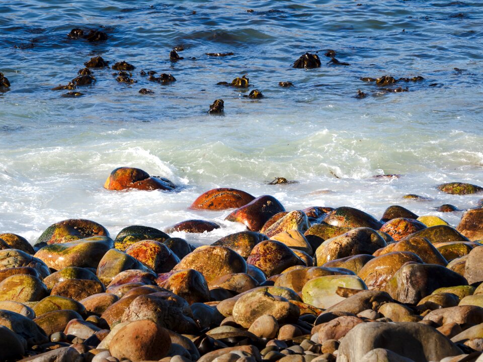 Water ocean coast photo