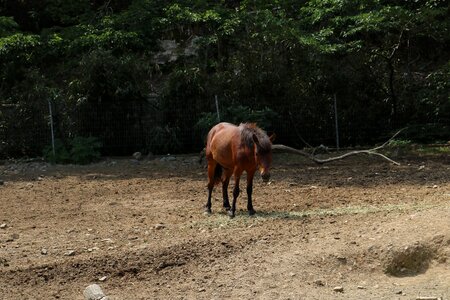 Loneliness tsushima nostalgia photo