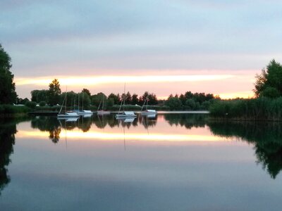 Sail fish sunset
