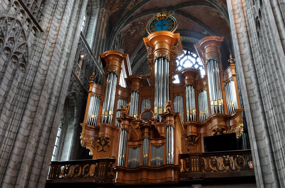 Organ music instrument
