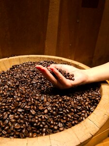 Coffee bean coffee