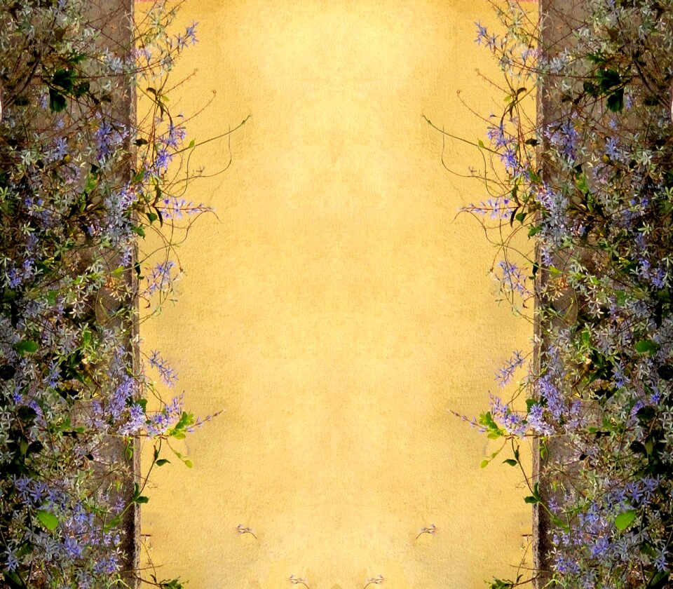 Flowers nature text