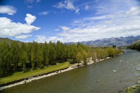 River willow blue sky photo