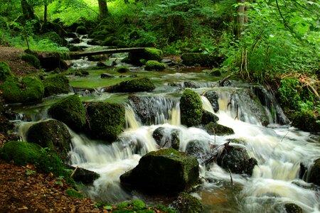 Cascade summer nature