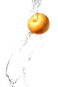 Splash fresh health