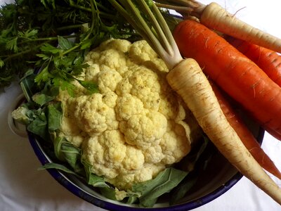 Cauliflower vegetarian nutrition photo