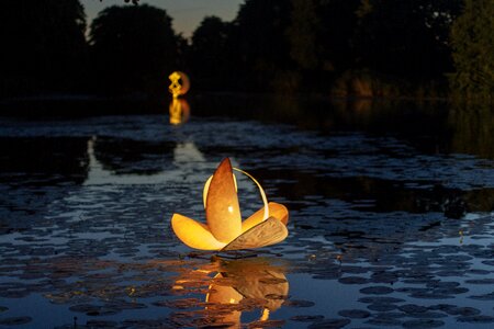 Evening summer marie werder