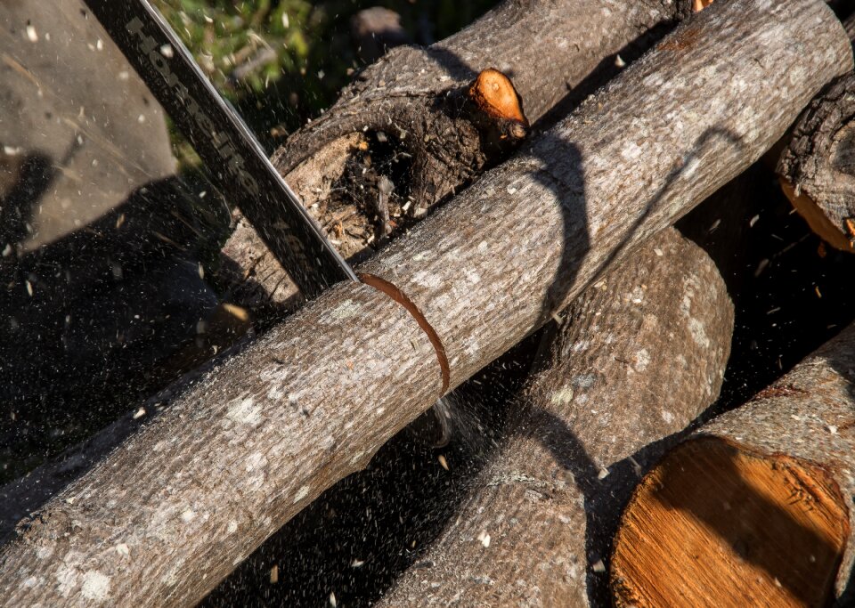 Power cutting tree