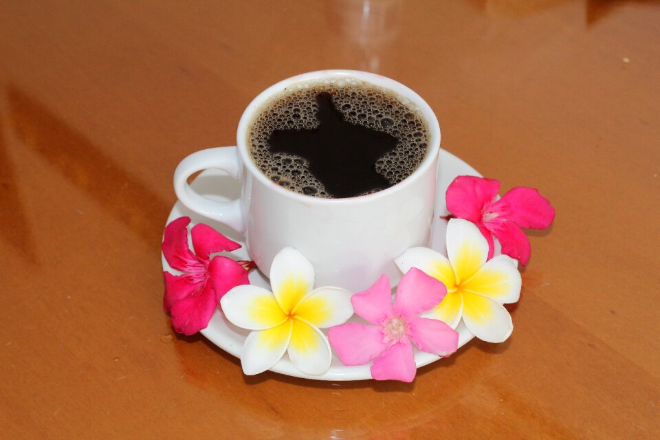 Aroma morning flowers