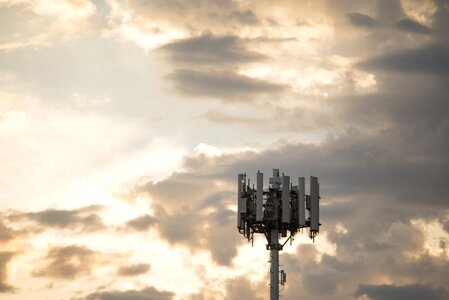 Network wireless sunset