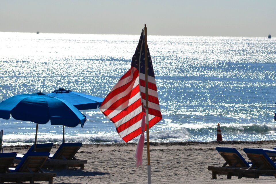 Summer nature beach photo