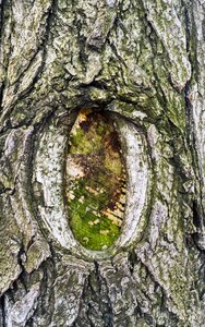 Land files game bend