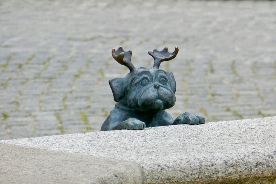 Loriot brandenburg dog