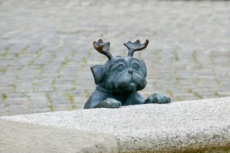 Loriot brandenburg dog