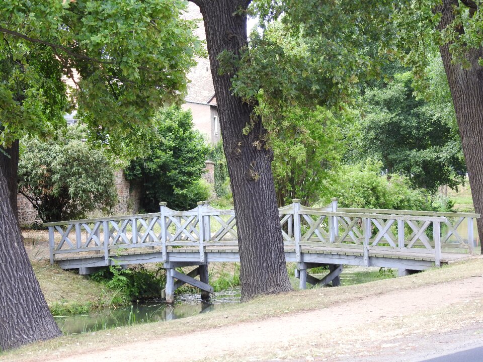 River wooden bridge nature