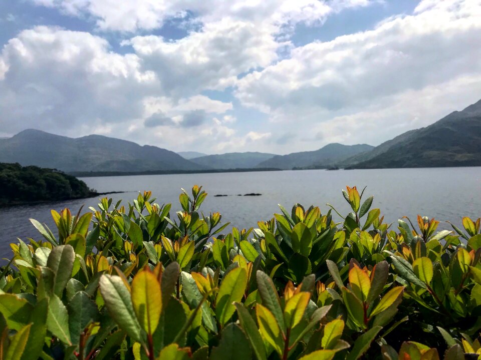 Landscape calm blue