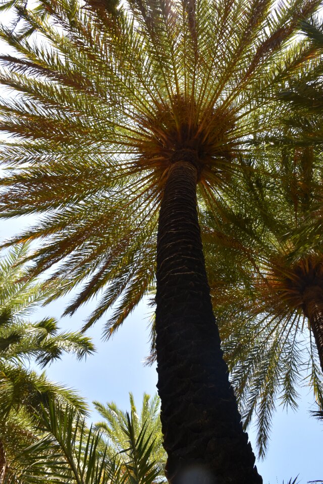 Sun travel crete