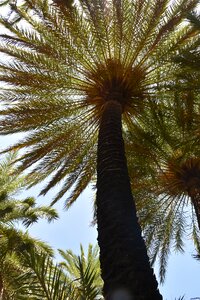 Sun travel crete