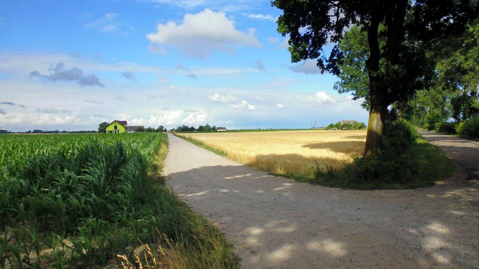 Landscape field summer photo