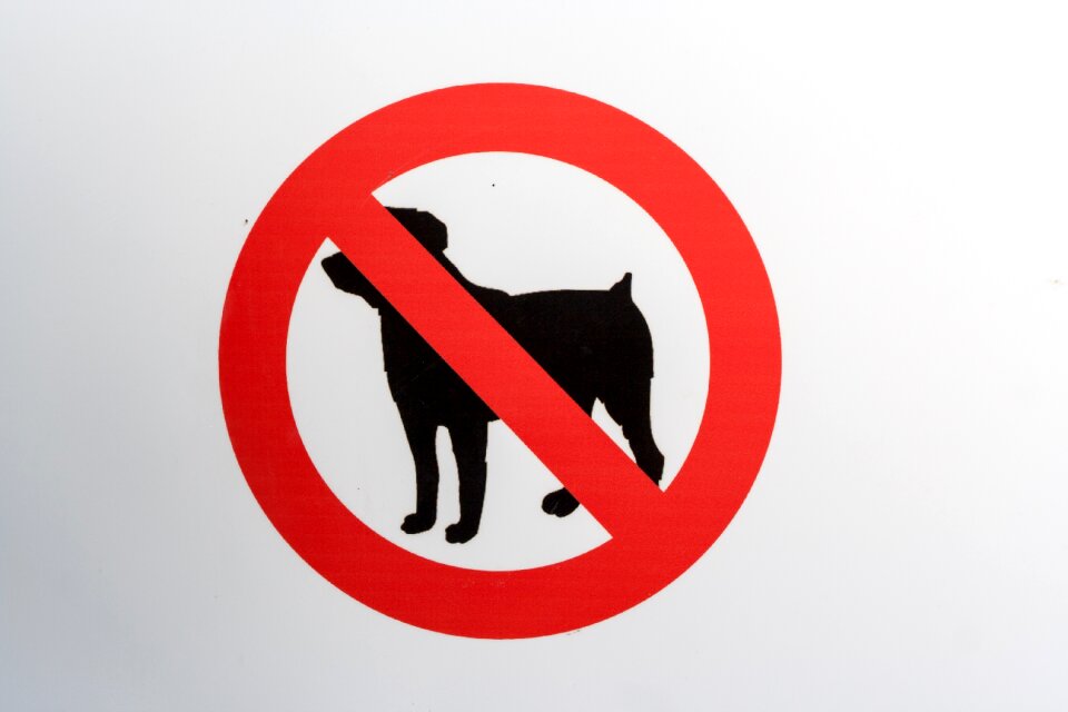 Dog prohibits banned