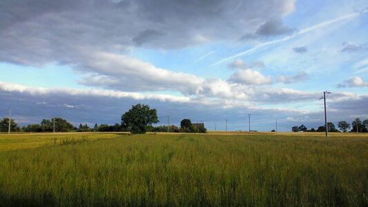 Landscape field summer photo