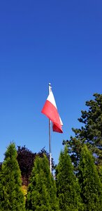 Flag poland patriotism