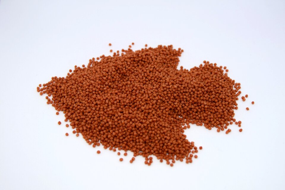 Food nutrition vitamin