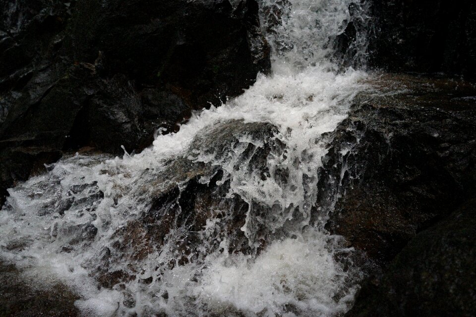 Stream tropical rainforest evergreen