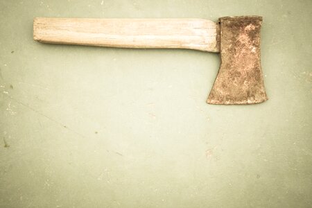 Blunt rust lusted