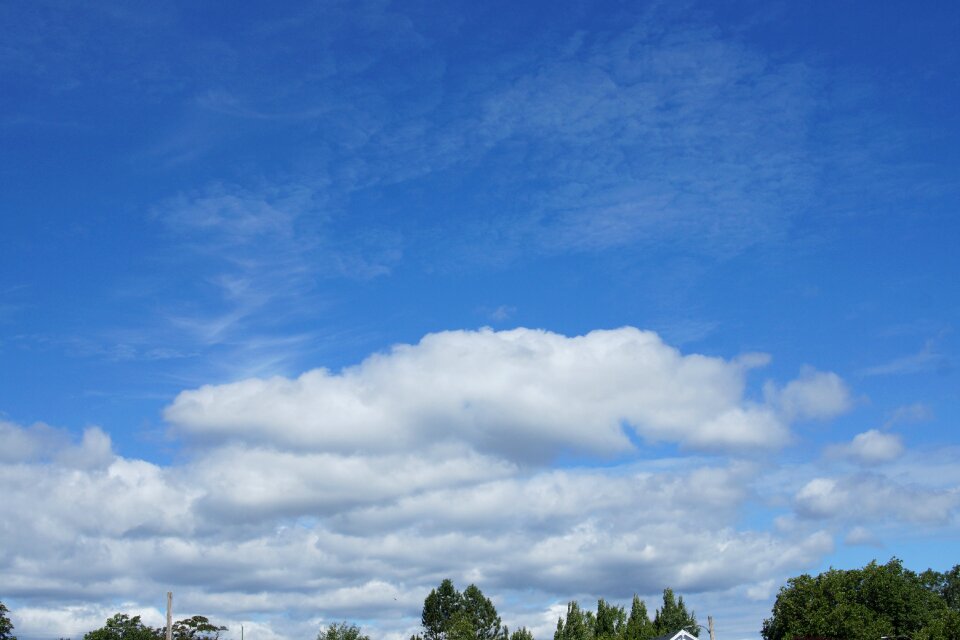 Nature summer