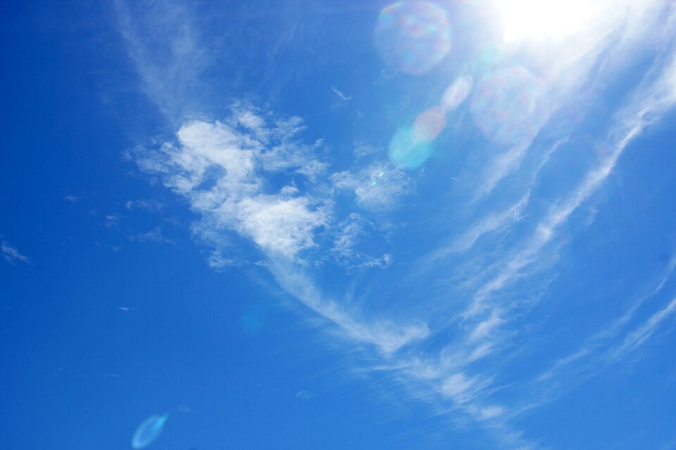 Summer bright sunlight
