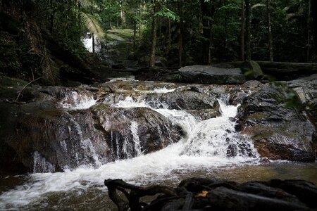 Stream tropical rainforest evergreen photo