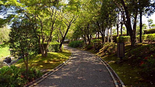 Garden plants park
