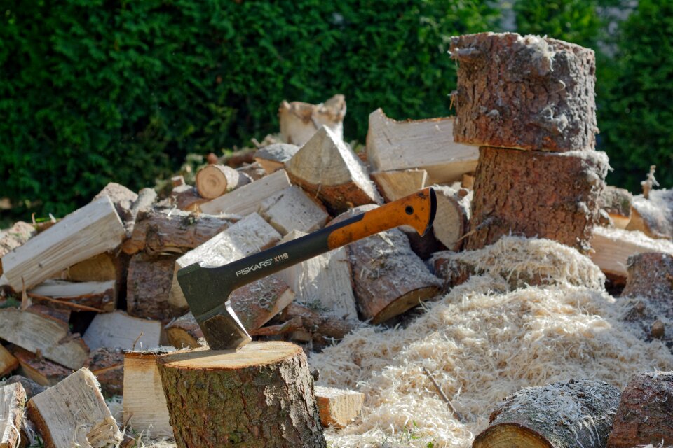 Stumps hacking tree