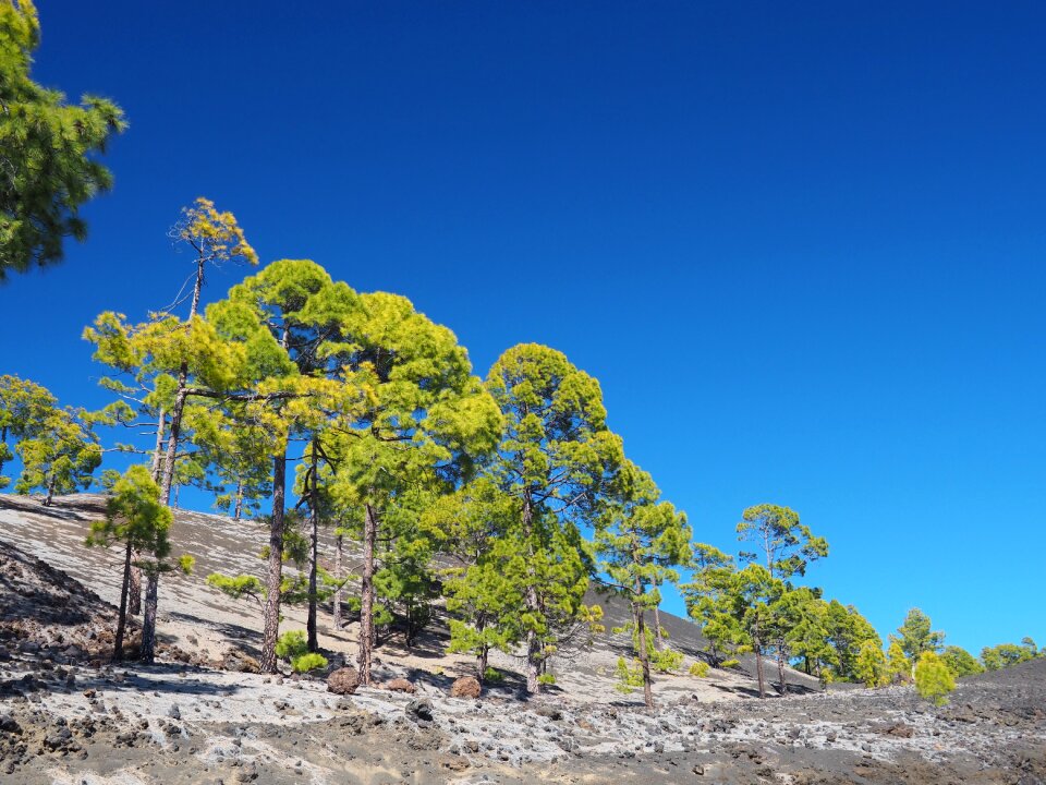 Landscape light blue