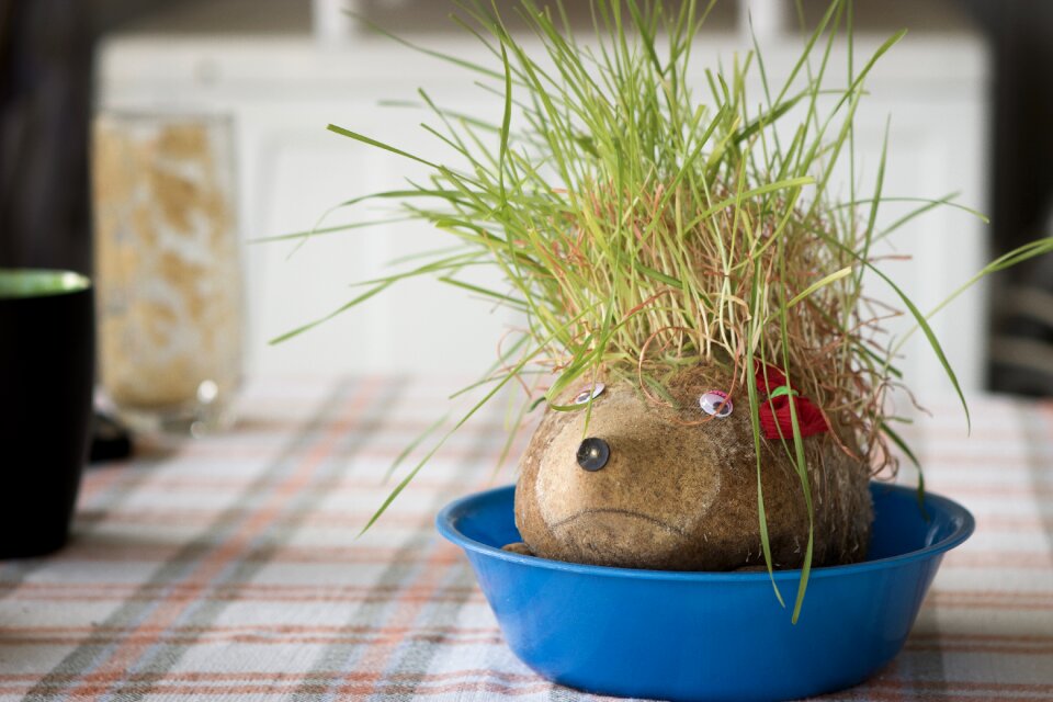 Grass puppet plate