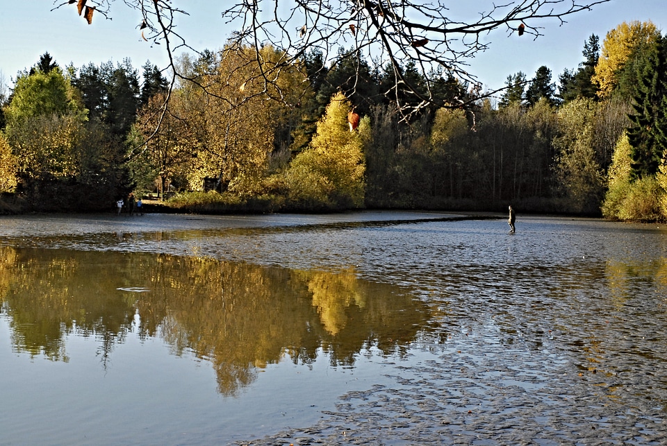 Launch bottom of the pond surface
