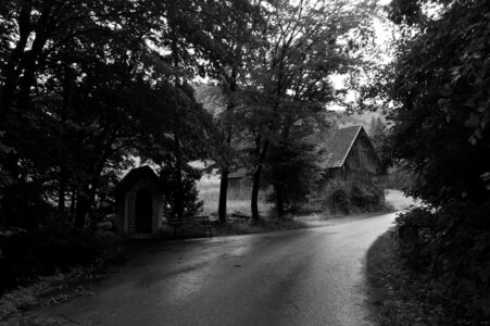 Road old house trees