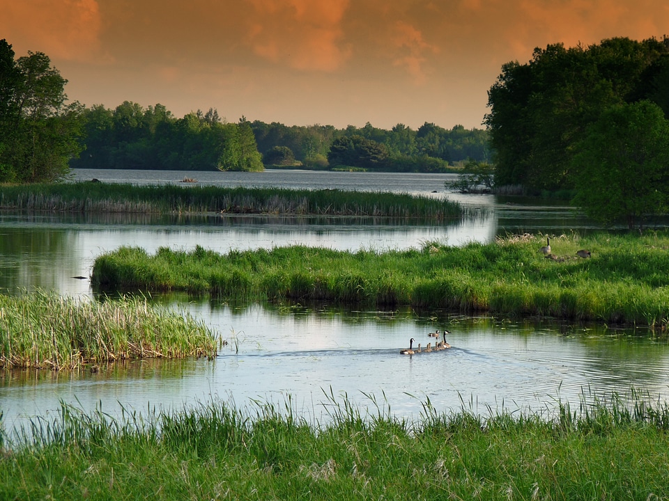 Stream lake wetland