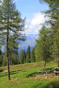 Nature scenic summer