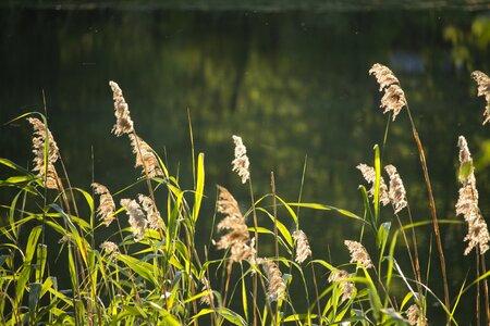 Nature landscape romantic