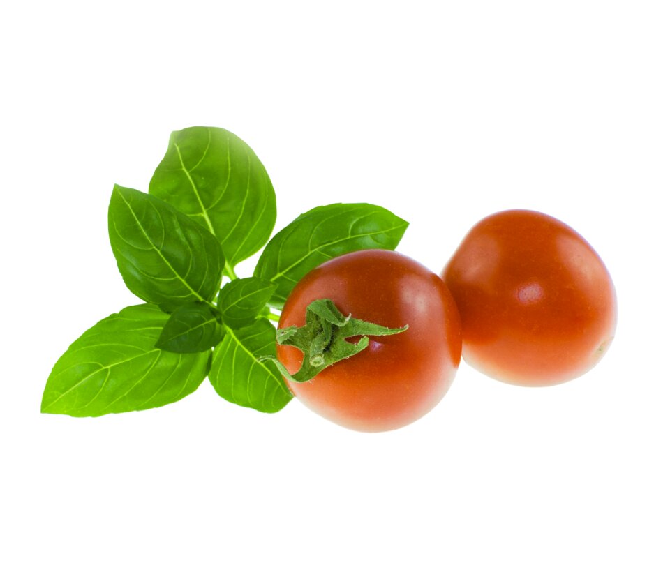 Caprese cheese salad